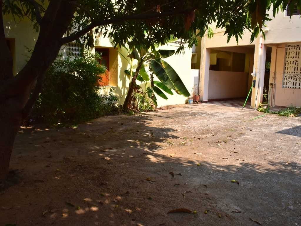 Shaded garden path beside the Skandanam Ecoville homestay building